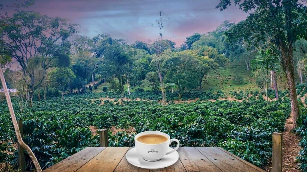 Descubre los museos más interesantes cerca del centro de Coatepec