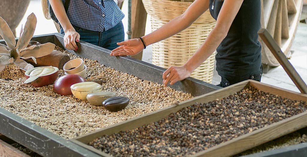 Oficios tradicionales en Veracruz Coatepec: descubre las artesanías y tradiciones que aún viven